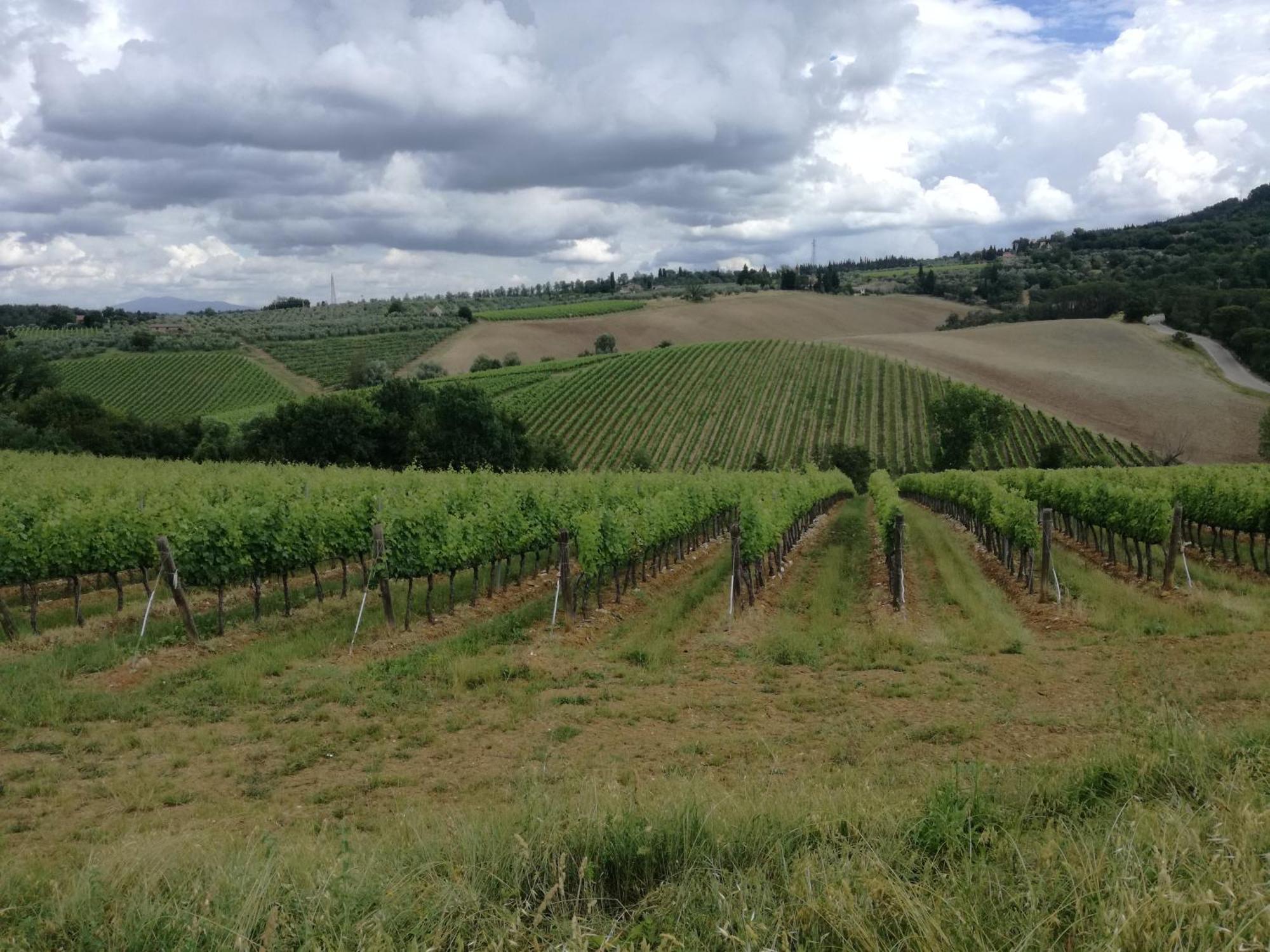 Agriturismo Podere La Cava Mercatale Val Di Pesa Zewnętrze zdjęcie